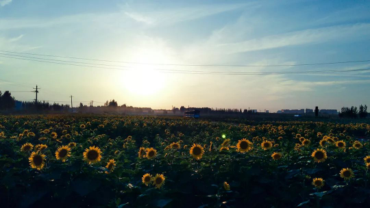 NG电子游戏·(中国区)官方网站