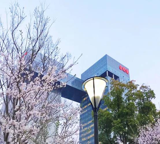 NG电子游戏·(中国区)官方网站